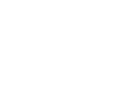 RETTIZ Ingeniería y Soluciones E.I.R.L.